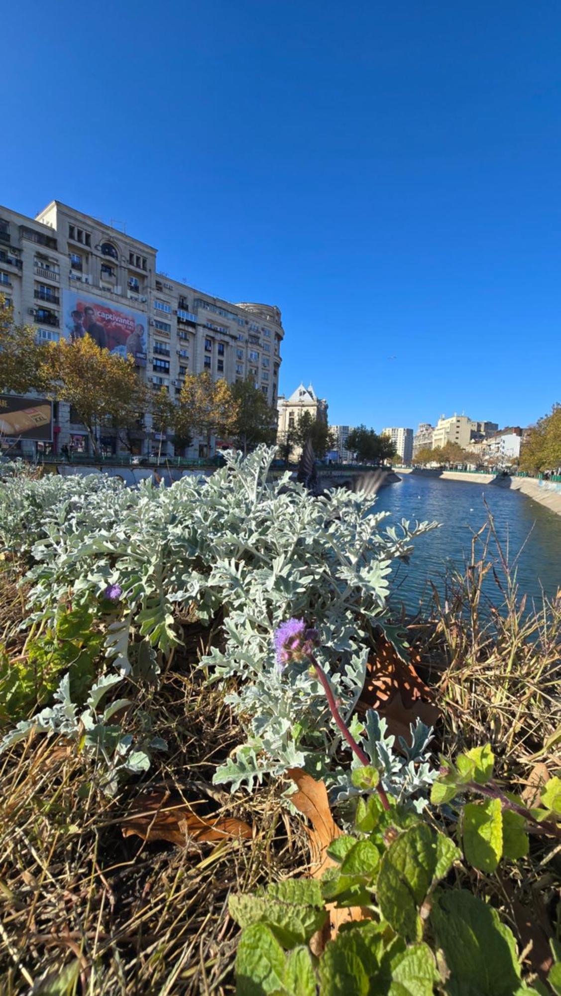 Unirii River View