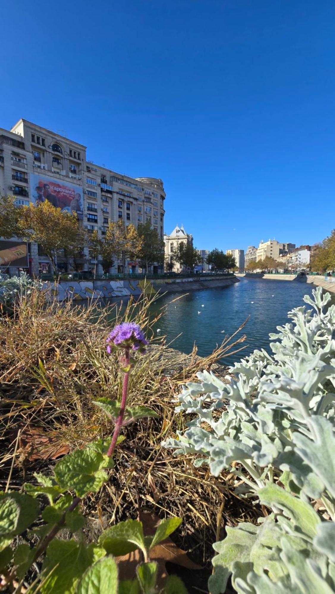Appartamento Unirii River View